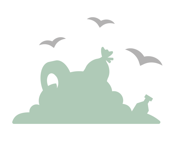 graphic of birds