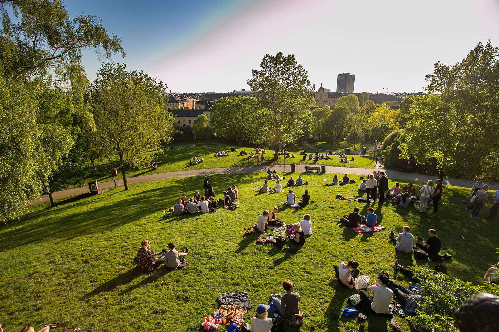 People a park on a sunny day