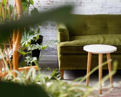 Hillhouse - Furniture Shop