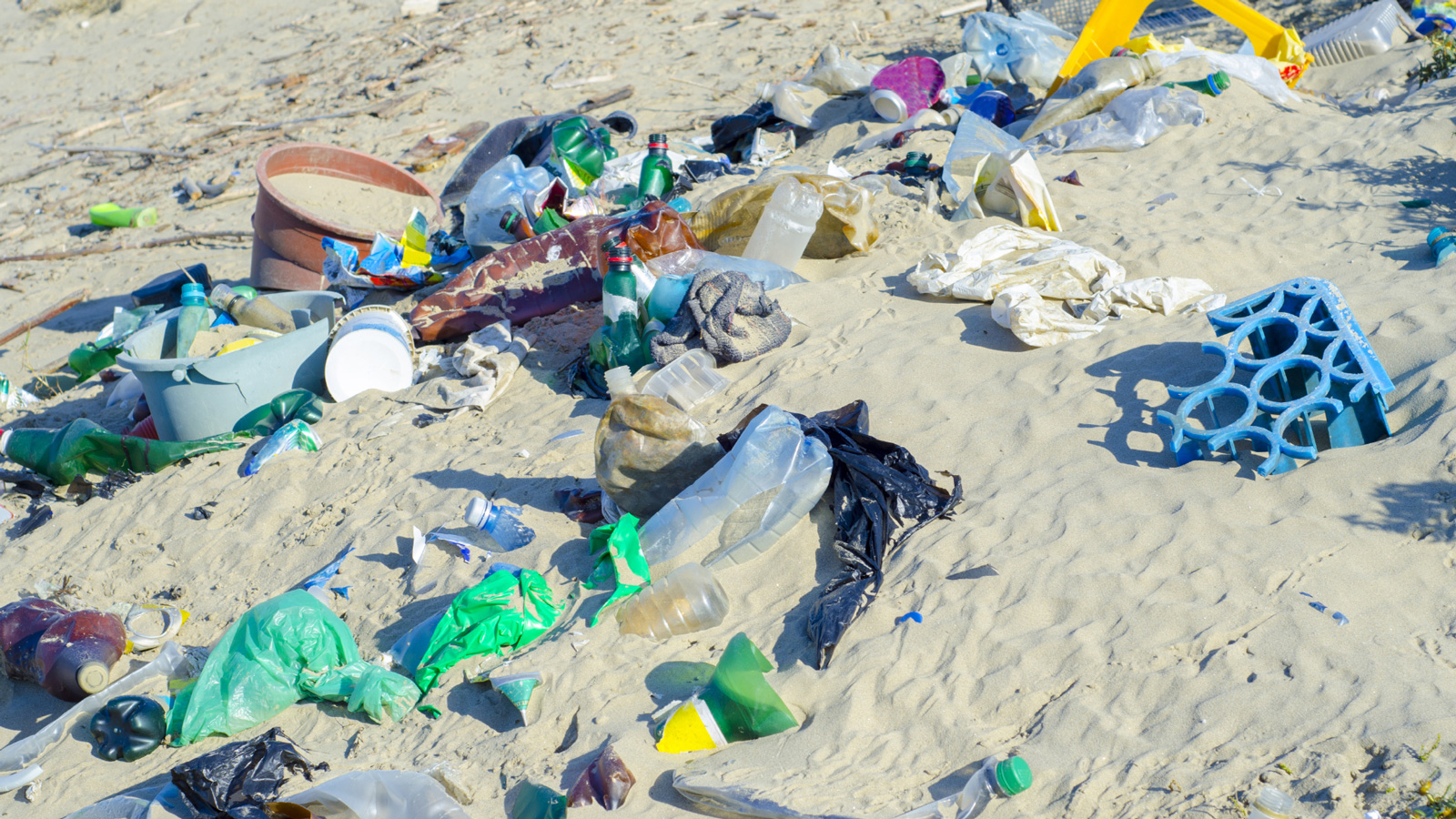 Litter shown on coastline 